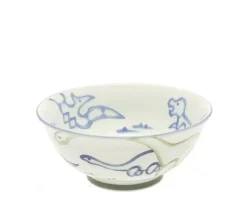MIYA Company Bowl Jurassic Dinos Ramen New
