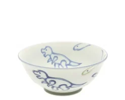 MIYA Company Bowl Jurassic Dinos Ramen New