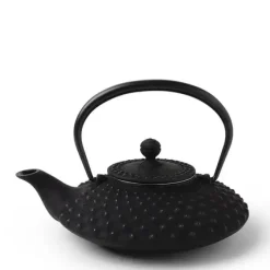 MIYA Company Cast Iron Teapot Flat Hailstone 0.5L Sale