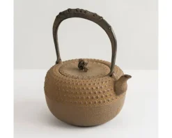 MIYA Company Iwachu Kettle Tetsubin Gravel Turtleshell Brown Clearance