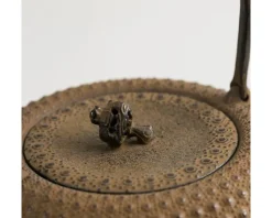 MIYA Company Iwachu Kettle Tetsubin Gravel Turtleshell Brown Clearance