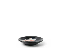 MIYA Company Namako Koi Sauce Dish Best