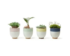 MIYA Company Sashiko Teacup Set 6 Oz.