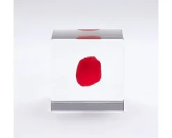 MIYA Company Sola Cube Huayruro Seed Clearance