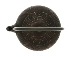 MIYA Company Teapot Cast Iron Copper Black Goldfish Hot